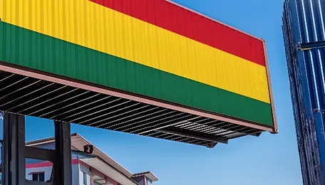 Ghana probes Tema Port congestion as cargo volumes rise 