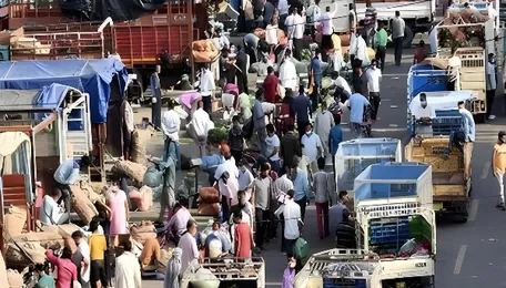 78% of urban population exposed to pesticide residues, multiple toxins found in blood samples: Survey 