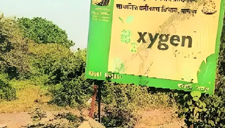 Oxygen Park-2: Delays plague NHAI’s green initiative 