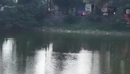 Vasai Virar Water Bodies See Green Revival