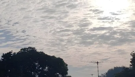 City Achieves Significant Air Pollution Reduction Amidst Green Drive
