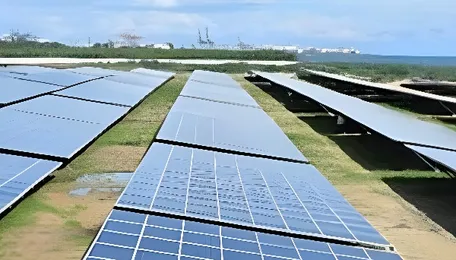 Land acquisition completed for 228 solar plants in Andhra Pradesh: Special Chief Secretary 