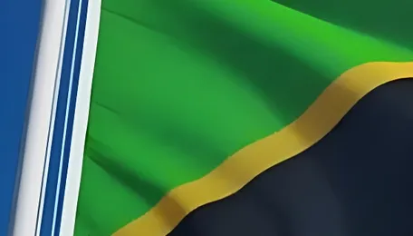 Tanzania Shuts Down Power Plants Amid Oversupply: A Crisis, a Victory, or a Warning Sign for Africa? 