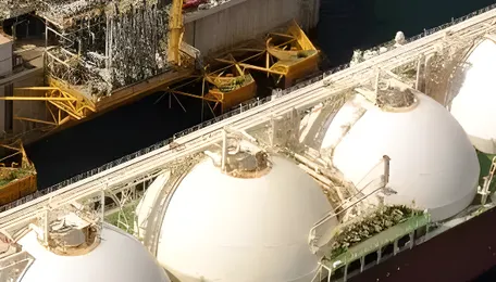 South Asia LNG demand would fall by around 6 Mt in 2026 