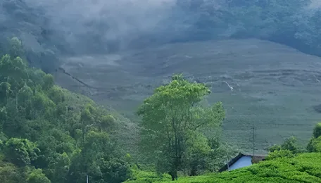 West Bengal Hills Plan Local Governance Shift 