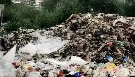 Gurugram Dustbin Plan Raises Waste Management Concerns