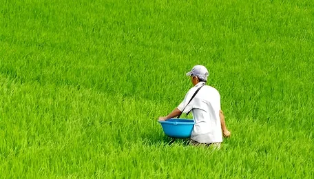 Prices of Asia-Pacific’s fertilisers, petrochemicals set to surge on Iran war: ADB - Eco