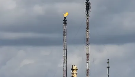 India will export fuels after meeting local demand 