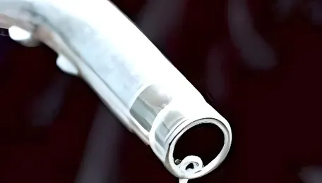 India needs multi-fuel security 
