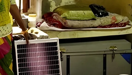 Why India is not able to fully use the solar power it generates 