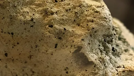 India Signs $4 Bn Uranium Purchase Deal With Kazakhstan 