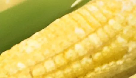 Corn futures rise after USDA cuts harvest outlook
