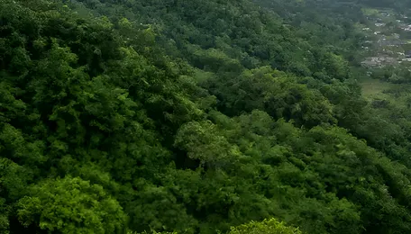 Western Ghats Eco-Sensitive Zones Move Closer to Final Boundaries