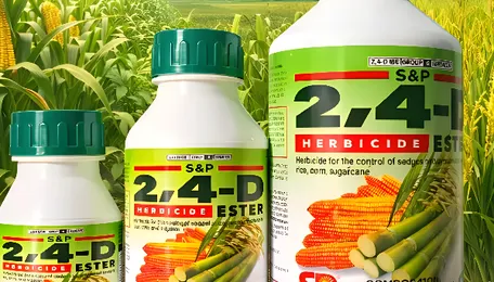 Concerns rise over 2,4-D herbicide as India faces pressure for regulatory action amid health and environmental risks. 