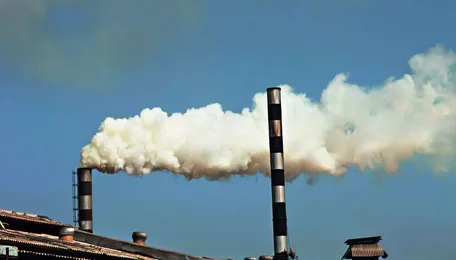 Economic Survey 2024: India on track to achieve carbon sink target of 3 billion tonne by 2030