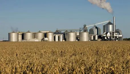 Godavari biorefineries ramps up ethanol output with 130 crore dual feedstock distillery in karnataka