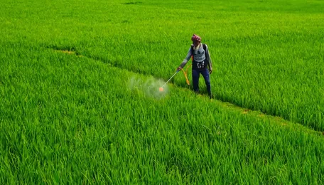 Dhanuka Agritech profit slips in June quarter as Nagpur plant plan lifts capex outlook
