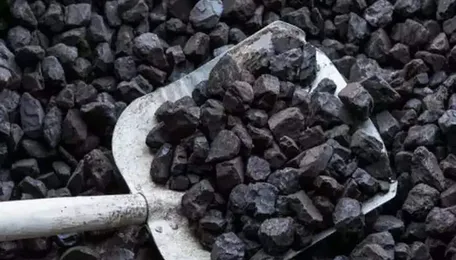 European Pet Coke Prices Fall Amid Increased Supply, Stability Observed in US and Chinese Markets