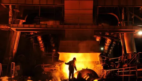 Decision on environmental clearance deferred for ArcelorMittal Nippon Steel's plant in Andhra Pradesh