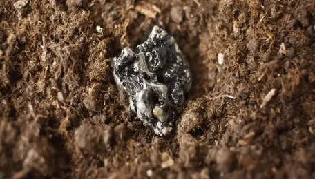 German foreign minister to discuss rare earths, steel in China visit