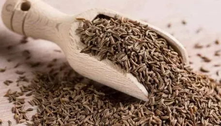 जीरा मंडी: जीरे का भाव फिर 57 हजार पर पहुंचा; कहां रुकेगी कीमत?