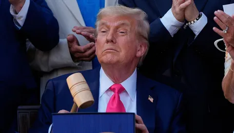 Trump’s 25% Tariff Shock: IT, Pharma, Steel Among Sectors Likely To Be Hit