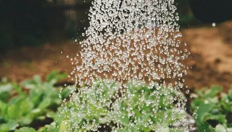 Maharashtra Pushes Hub-and-Spoke Model for Farm Infrastructure