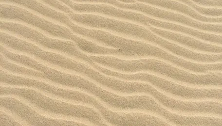 Tamil Nadu Sand Imports Expose a Construction Supply Crisis