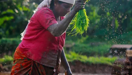 Morocco Continues to Strengthen Position as Key Fertilizer Supplier to India 