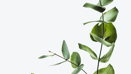 WeNaturalists Report 2026 Reveals India’s Climate Action Gap Despite 96% Awareness and Rising Citizen-Led Engagement