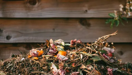 Mumbai Floral Waste Turns Into Compost for Parel Gardens