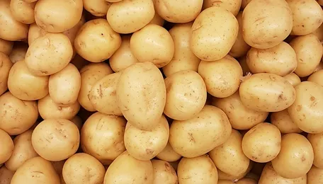 West Bengal Potato Farmers Sell Crop on Kolkata Roads at ₹8 a Kilo