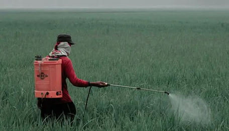 Weak price, oversupply hurts India Pesticides’ earnings