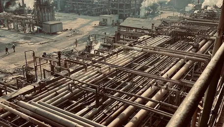 Wanhua Chemical to Restart Caustic Soda Unit in H2 July 2025