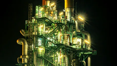 Paradeep Phosphates merges with Mangalore Chemicals and Fertilisers