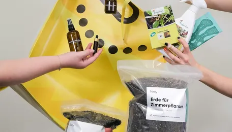 Indian government approves $4.3B fertilizer subsidy for rabi crop season