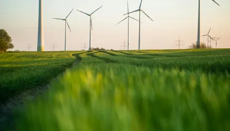 Gopalpur project first phase on track for late 2028/early 2029 commissioning