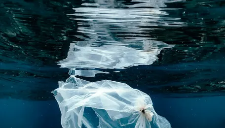 Operation Clean Sweep launches resin loss programme in India