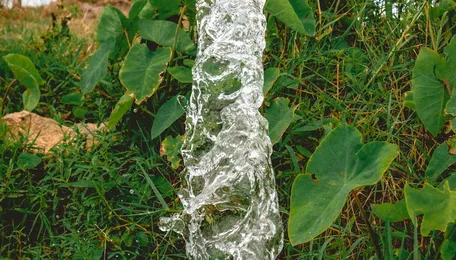 PM-KUSUM Empowers Over 20 Lakh Farmers Across India Through Solar Energy