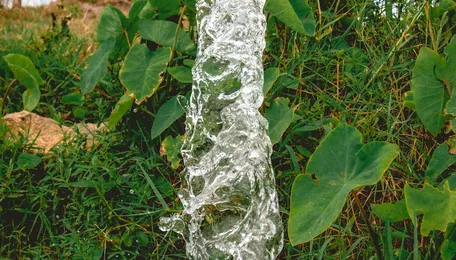 Mumbai Rail Monsoon Preparedness Targets Flood Zones