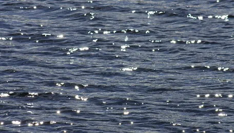 Navi Mumbai Water Cut May Return After Diwali as Morbe Dam Storage Falls