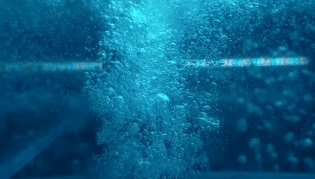 Delhi Water Master Plan Faces Urban Sewage Challenge