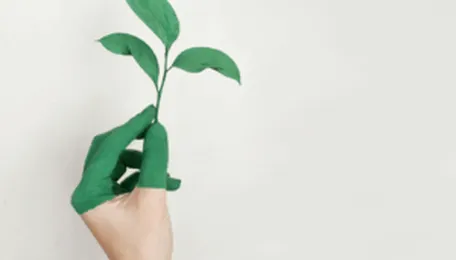 What Is Net Zero Really?