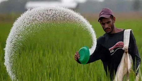 Fertilizer Subsidy Increases by 66% Due to Surge in DAP Imports