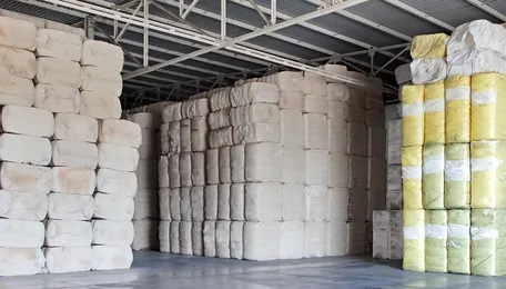 2.50 Lakh Cotton Bales from Australia to Boost Gujarat's Textile Industry