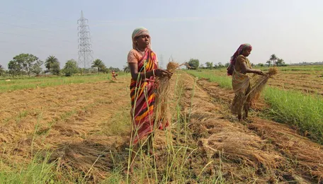 Karnataka Govt Withdraws APMC Amendment Amid Farmers' Concerns