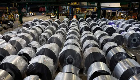 India will support steel exports hit by Europe's carbon tax: Govt official