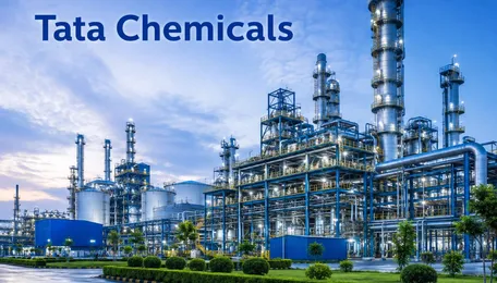 Tata Chemicals sets up high-level committee to decide on Kenya operations