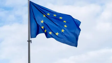 EU countries to seek import curbs on chemicals, plastics, sources say