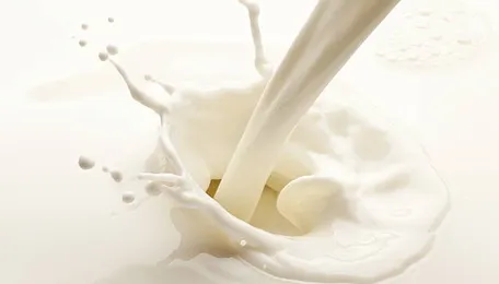 Milk production makes white revolution in Bangladesh